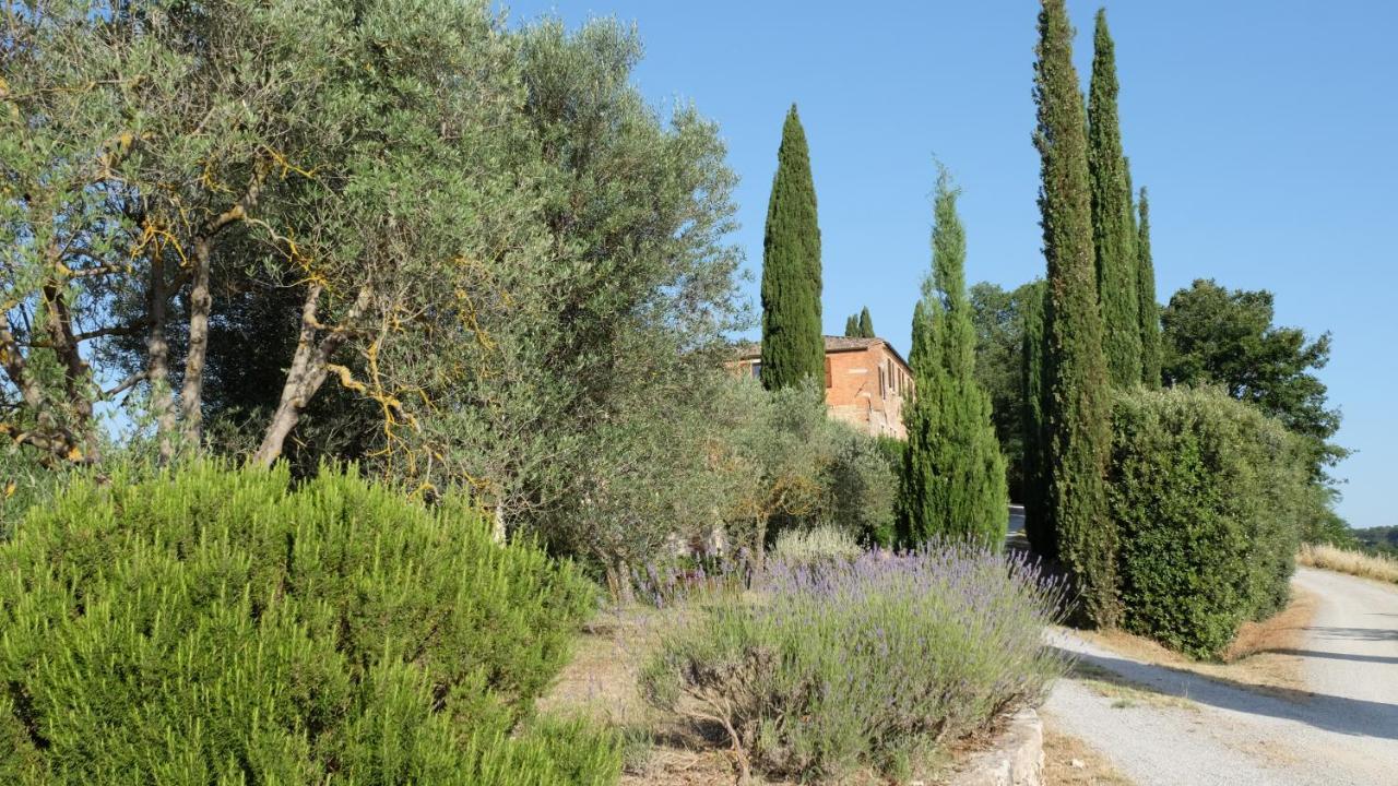 Il Poderuccio * Asciano